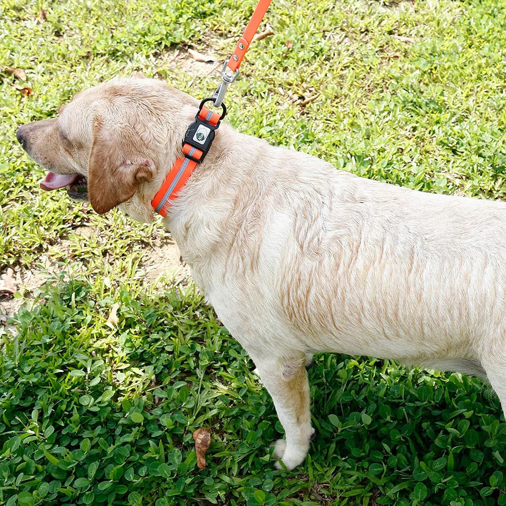 Collier pour Chien - WaterproofDogCollar™ - Orange