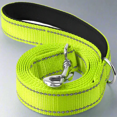 Collier Chien - DogsHarnessCollar™ - Fluorescent Vert