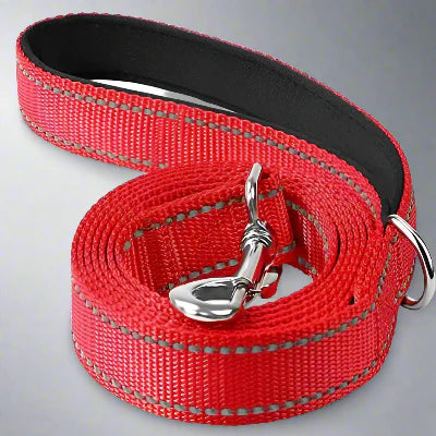 Collier Chien - DogsHarnessCollar™ - Rouge