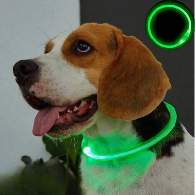 Collier Chien - DogCollarLight™ - Vert