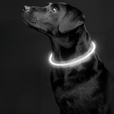 Collier Chien - DogCollarLight™ - Blanc