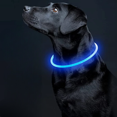 Collier Chien - DogCollarLight™ - Bleu