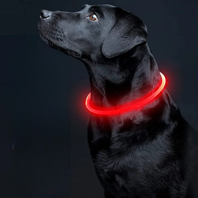 Collier Chien - DogCollarLight™ - Rouge