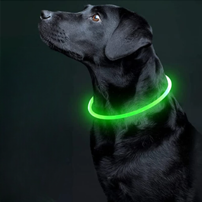 Collier Chien - DogCollarLight™ - Vert