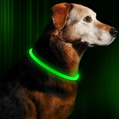 Collier Chien - DogCollarLight™ - Vert