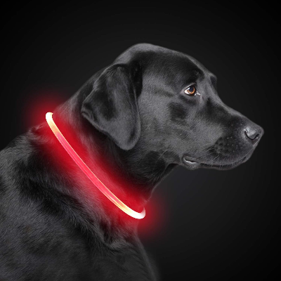 Collier Chien - DogCollarLight™ - Rouge