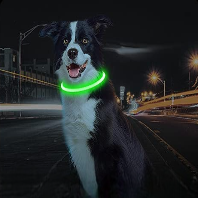 Collier Chien - DogCollarLight™ - Vert