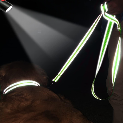 Collier Chien - DogsHarnessCollar™ - Fluorescent Vert