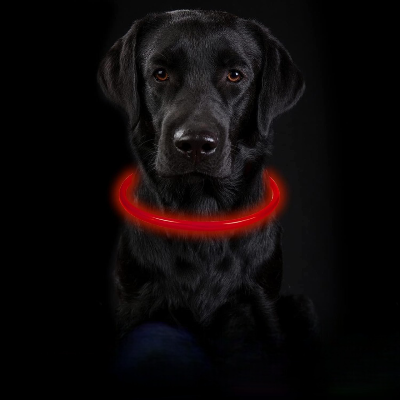 Collier Chien - DogCollarLight™ - Rouge